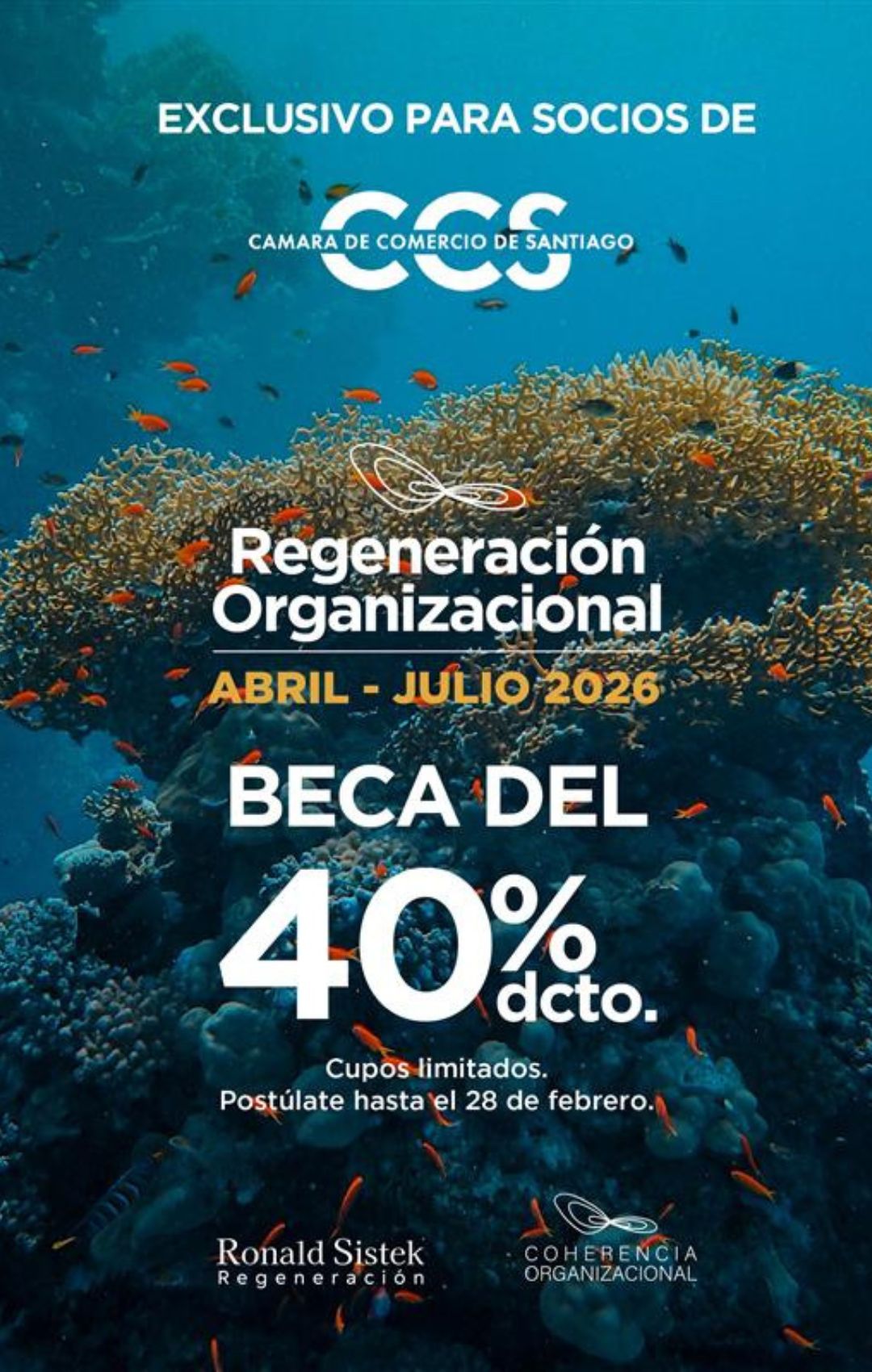 Regeneración Organizacional